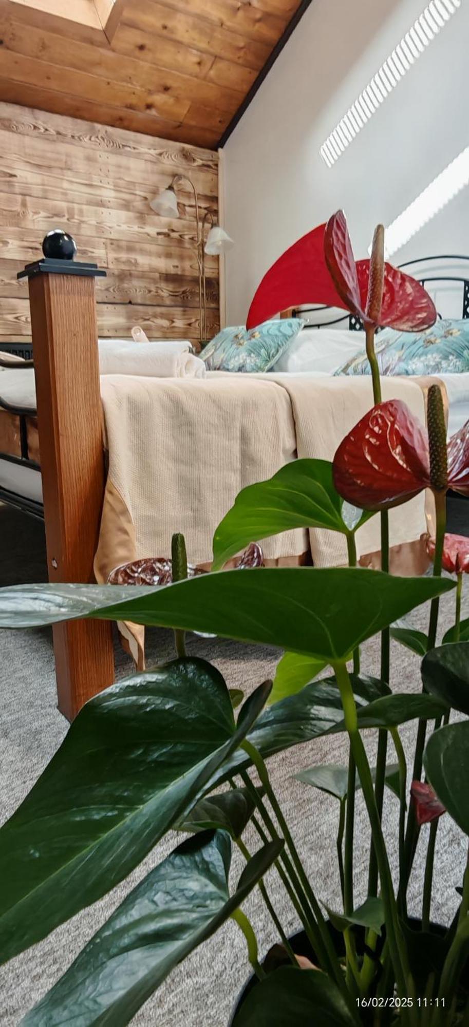 Hotel Plzensky Dvur ฟรีเดก-มีสเตก ภายนอก รูปภาพ